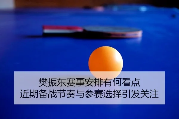 樊振东赛事安排有何看点 近期备战节奏与参赛选择引发关注